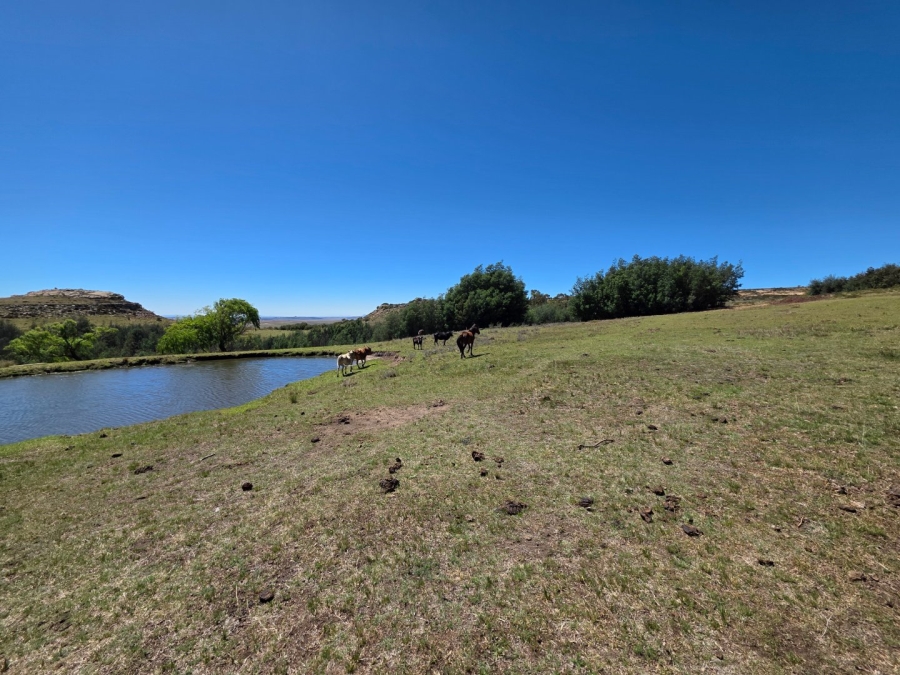 Commercial Property for Sale in Bethlehem Free State